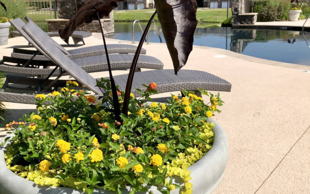 Landscape Maintenance