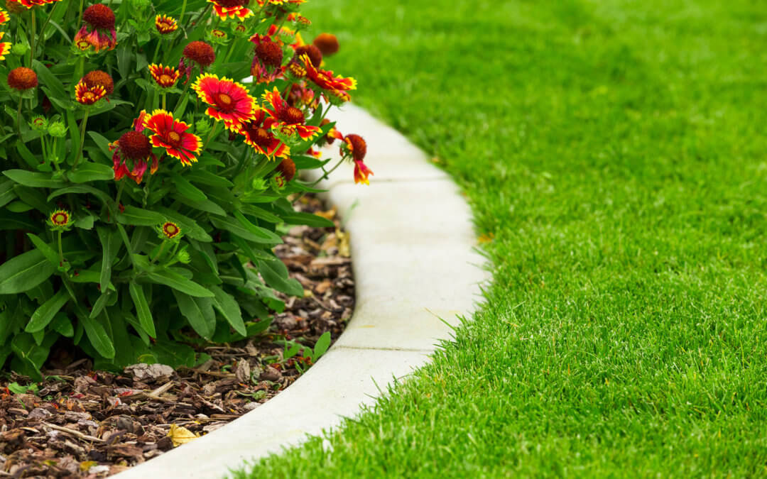 Turf & Ornamental Care